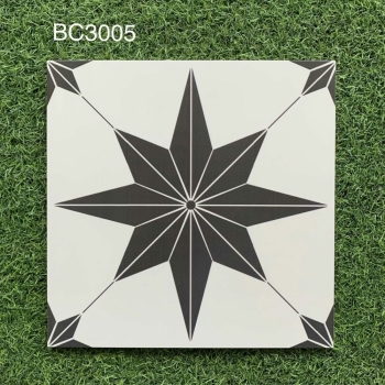 BC – 3005