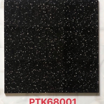 PTK 68001