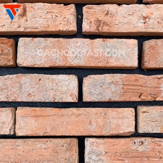 MẶT BÌA NGOÀI SG (5x20,21cm )