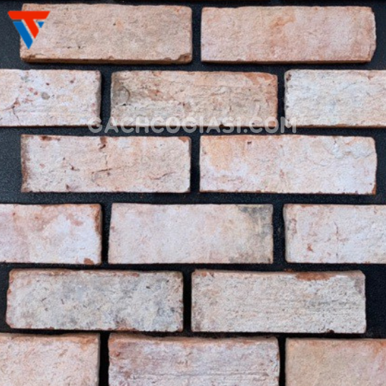 MẶT BÌA NGOÀI SG(7,5x20,21cm)