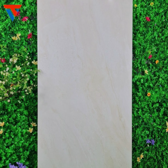 gạch 600 X 1200 s
