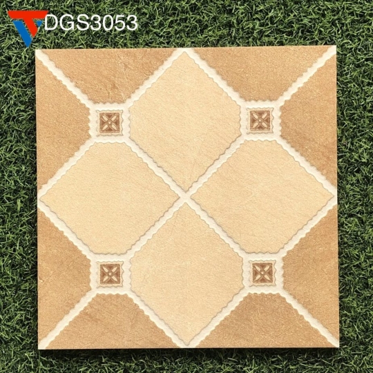 DGS – 3053