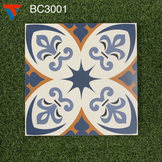 BC – 3001