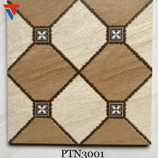 PTN 3001