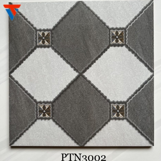 PTN 3002